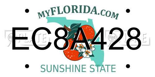 EC8A428 Florida License Plate