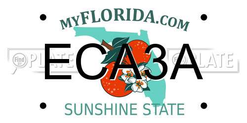 ECA3A Florida License Plate