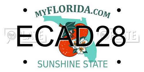 ECAD28 Florida License Plate