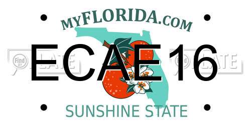 ECAE16 Florida License Plate