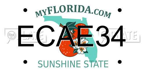 ECAE34 Florida License Plate