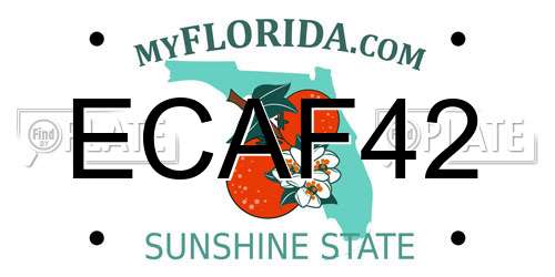 ECAF42 Florida License Plate