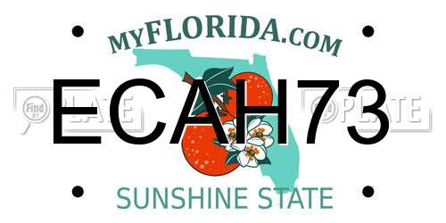 ECAH73 Florida License Plate
