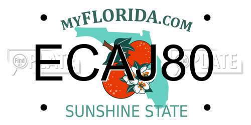 ECAJ80 Florida License Plate