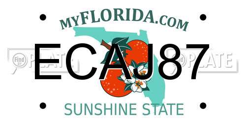 ECAJ87 Florida License Plate