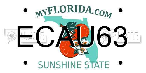 ECAU63 Florida License Plate