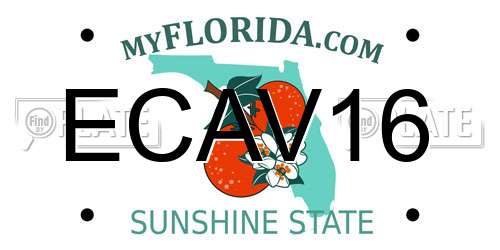 ECAV16 Florida License Plate