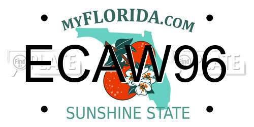 ECAW96 Florida License Plate