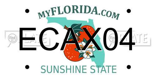 ECAX04 Florida License Plate