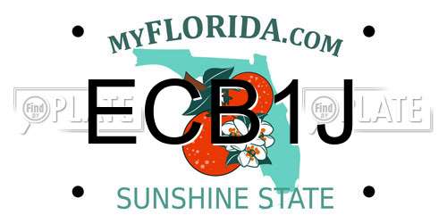 ECB1J Florida License Plate