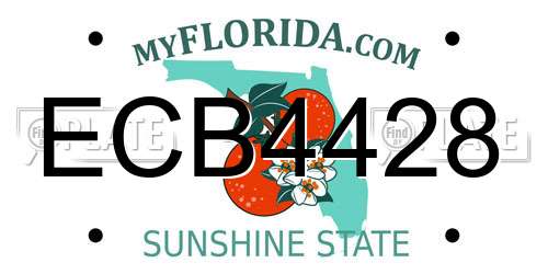 ECB4428 Florida License Plate