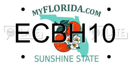 ECBH10 Florida License Plate