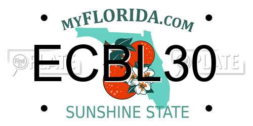 ECBL30 Florida License Plate