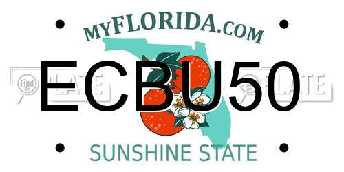 ECBU50 Florida License Plate