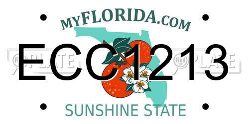 ECC1213 Florida License Plate