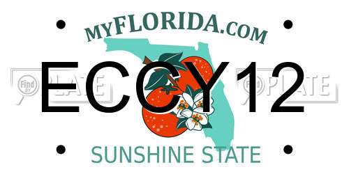 ECCY12 Florida License Plate