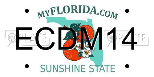 ECDM14 Florida License Plate