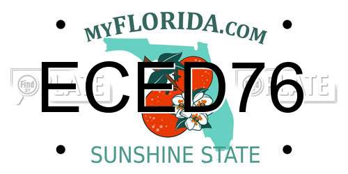 ECED76 Florida License Plate