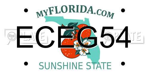 ECEG54 Florida License Plate
