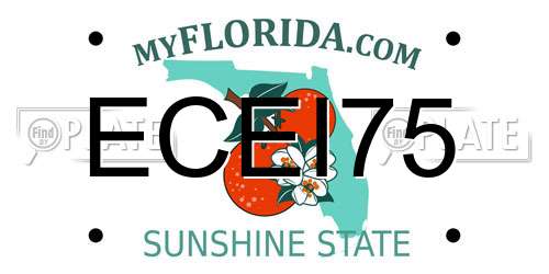 ECEI75 Florida License Plate