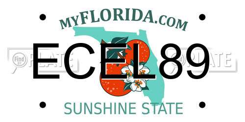 ECEL89 Florida License Plate