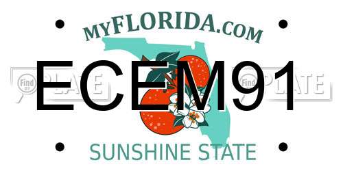 ECEM91 Florida License Plate