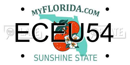 ECEU54 Florida License Plate