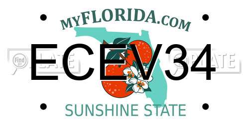 ECEV34 Florida License Plate