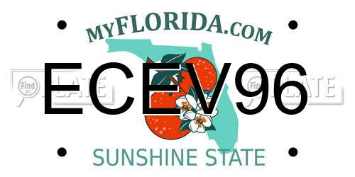 ECEV96 Florida License Plate