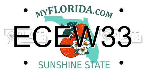 ECEW33 Florida License Plate