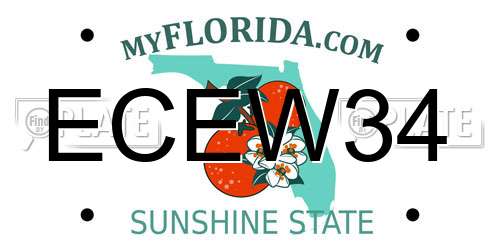 ECEW34 Florida License Plate