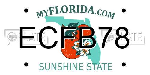 ECFB78 Florida License Plate
