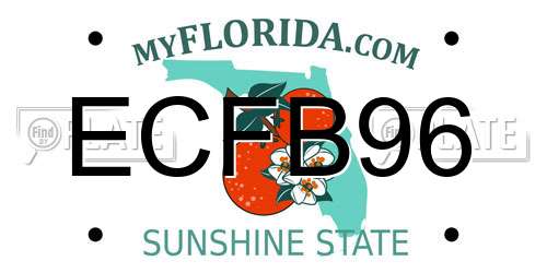 ECFB96 Florida License Plate