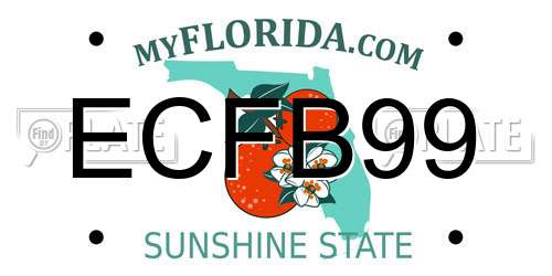 ECFB99 Florida License Plate