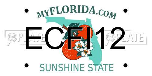 ECFI12 Florida License Plate