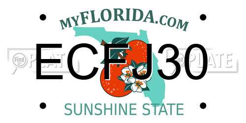 ECFJ30 Florida License Plate