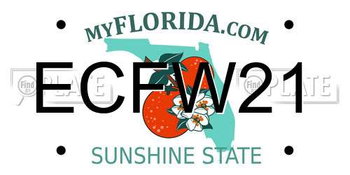 ECFW21 Florida License Plate