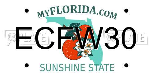 ECFW30 Florida License Plate