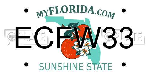 ECFW33 Florida License Plate