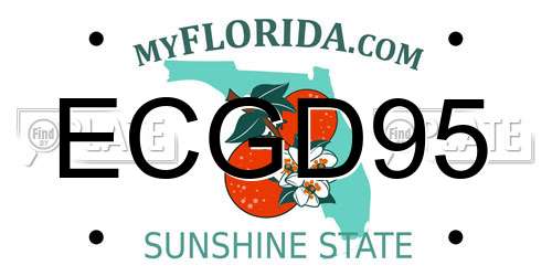 ECGD95 Florida License Plate