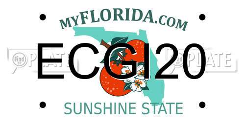 ECGI20 Florida License Plate