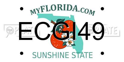 ECGI49 Florida License Plate