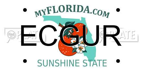 ECGUR Florida License Plate