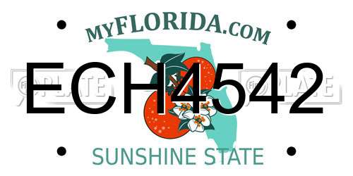 ECH4542 Florida License Plate