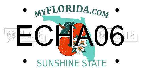 ECHA06 Florida License Plate