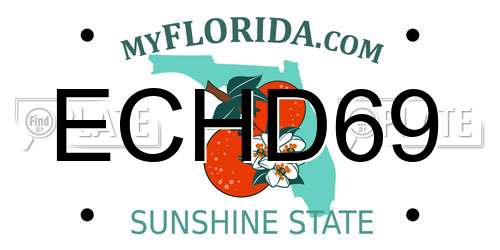 ECHD69 Florida License Plate