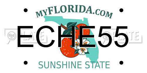 ECHE55 Florida License Plate