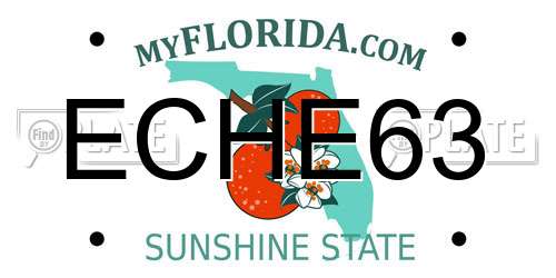 ECHE63 Florida License Plate