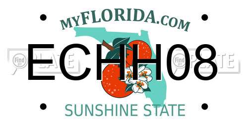 ECHH08 Florida License Plate