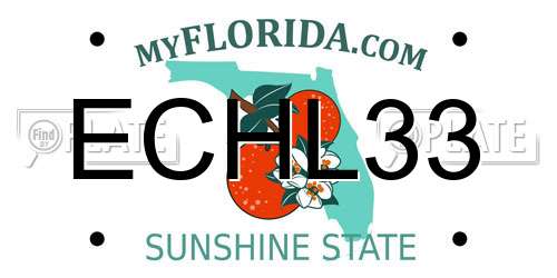 ECHL33 Florida License Plate